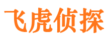 越城外遇调查取证